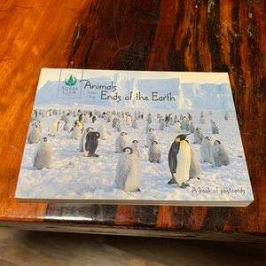 Animals Postcard Book
